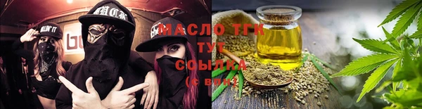 тгк Михайлов