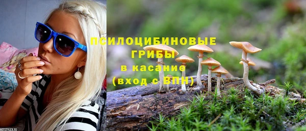 каннабис Алзамай
